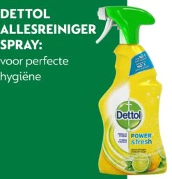 Dettol - Power & Fresh - Allesreinger Spray - Citrus - 6 X 500 Ml -Schoonmaakproducten 1150x1200 3
