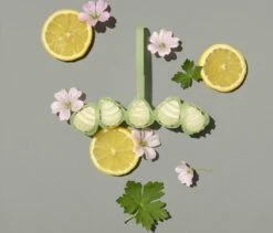 Marcel's Green Soap Toiletblok Geranium & Citroen - 55 Gram -Schoonmaakproducten 1200x1023