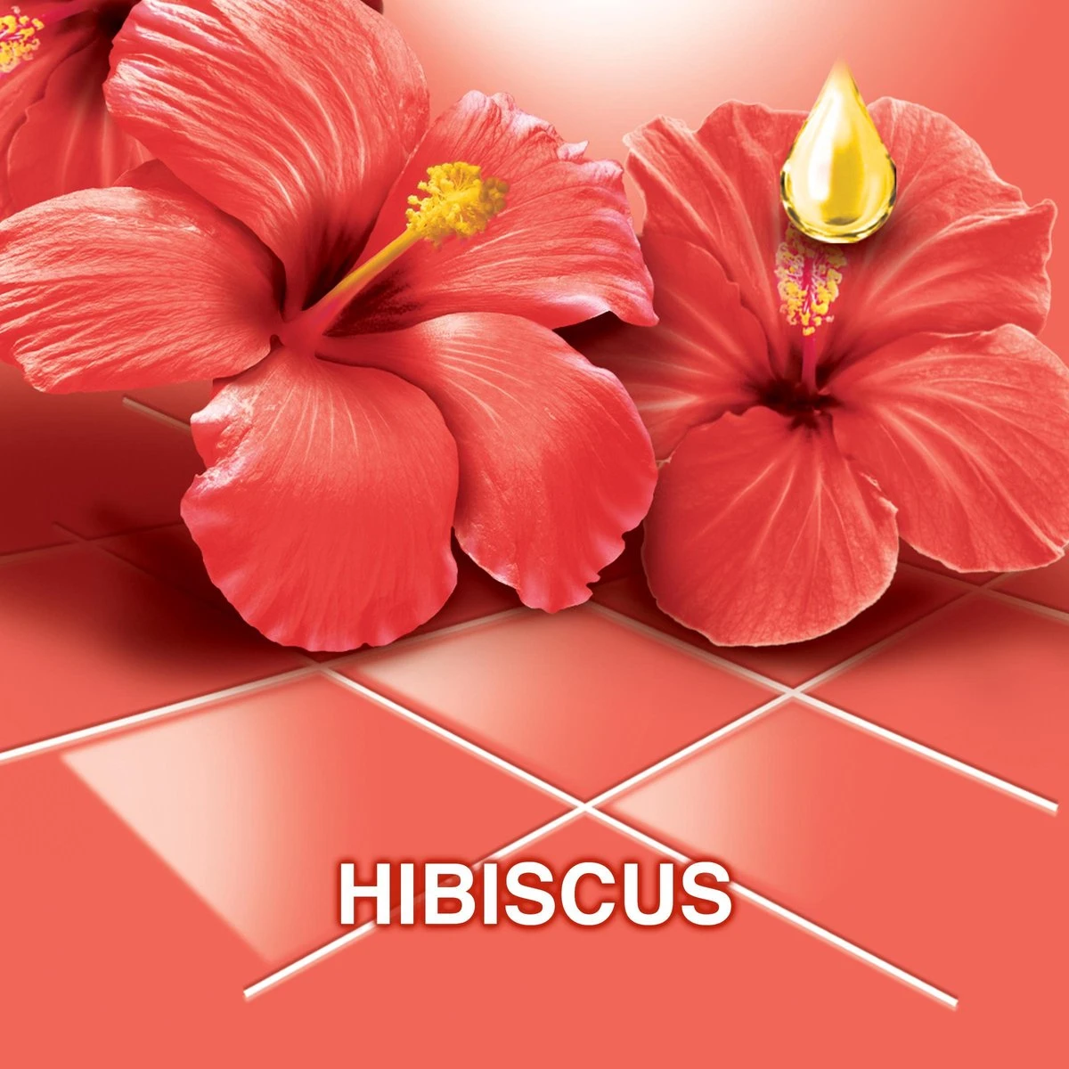 Ajax® Ajax Allesreiniger Fête Des Fleurs Hibiscus 6 X 1L - Voordeelverpakking 3 Ajax® Ajax Allesreiniger Fête Des Fleurs Hibiscus 6 X 1L - Voordeelverpakking - Afbeelding 3