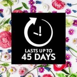 Air Wick Essential Mist Automatische Geurverspreider Luchtverfrisser - Innerlijke Rust - Navulling -Schoonmaakproducten 1200x1200 496